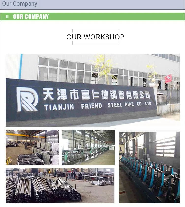 Wholesale Manufacturer Steel Iron Pre Hot DIP Galvanized Pipe for Greenhouse